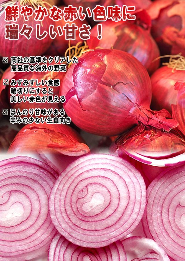 赤たまねぎ 輸入