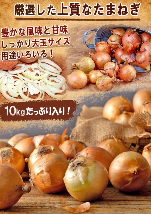 タマネギ 輸入