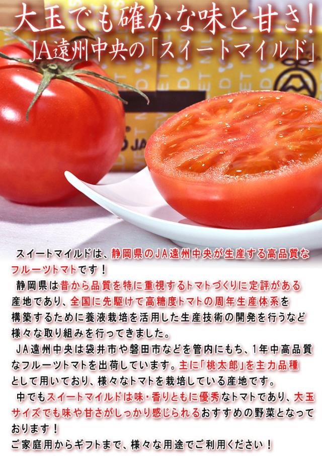 フルーツトマト JA遠州中央