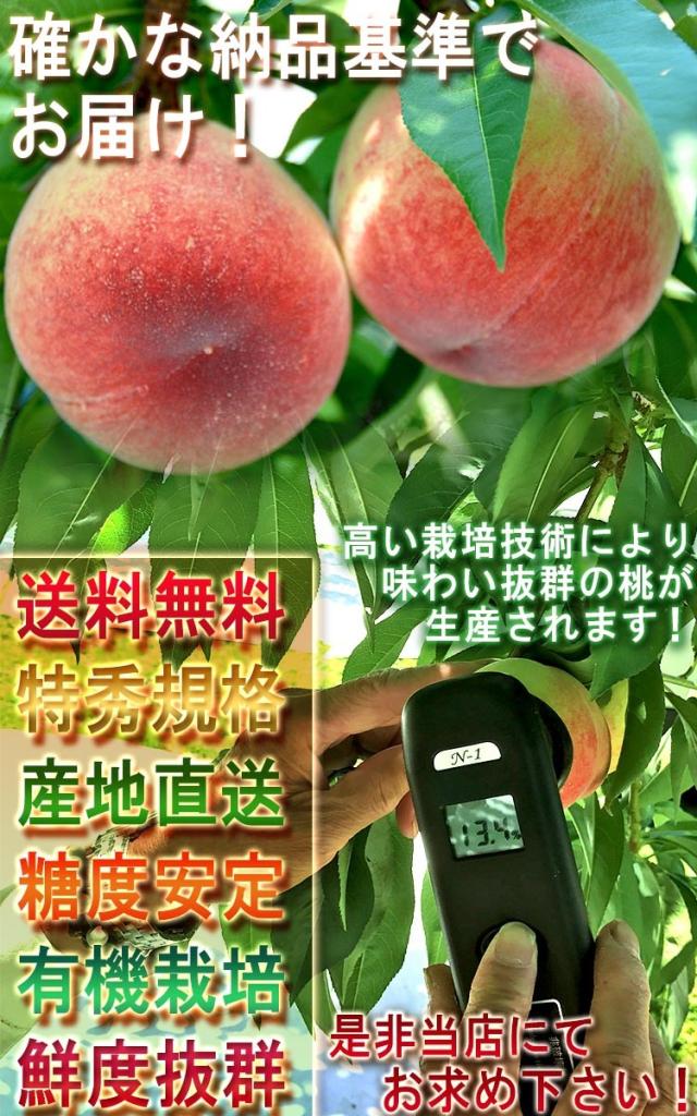 送料無料 果物