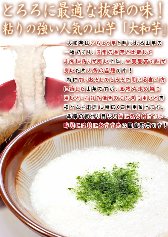 いちょう芋 大和芋