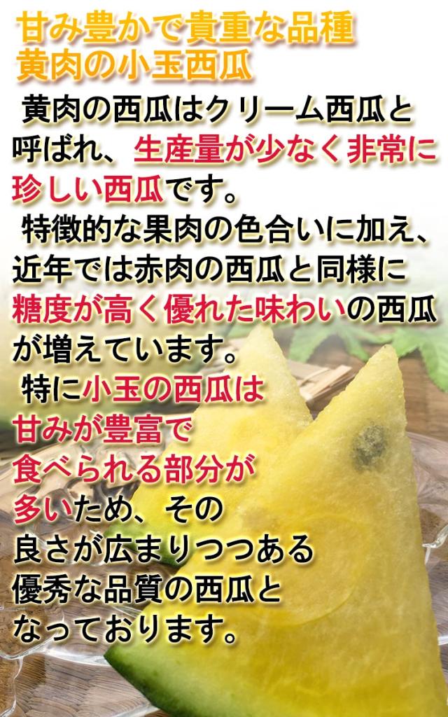 千葉県産 小玉スイカ