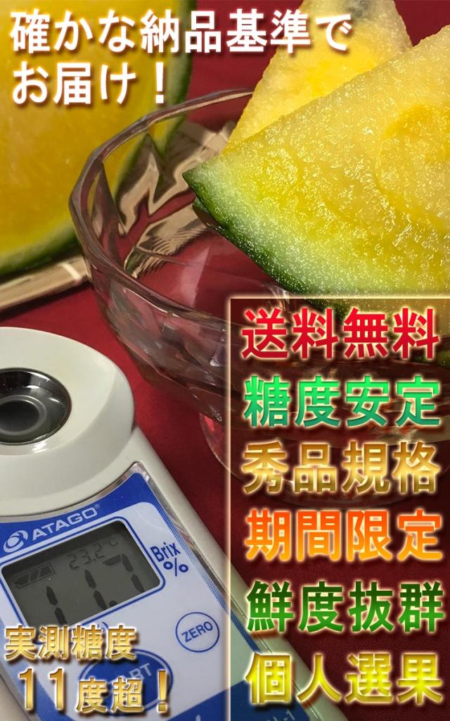 黄肉すいか ギフト