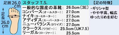 ムーンスター WM3114IE メンズ ブーツ 防水 防滑 ウォーキング 4E 幅広