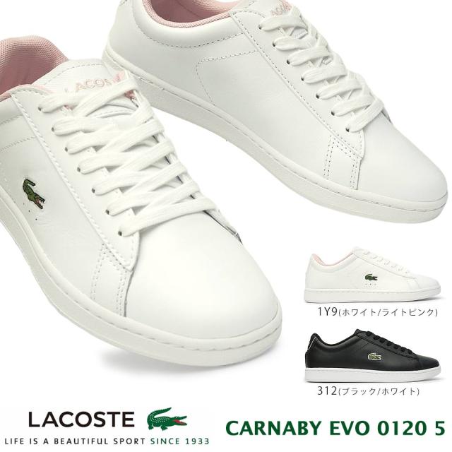 Sale 公式通販 ラコステ スニーカー レディース Sf カーナビー エボ 01 5 レザー 本革 Lacoste Carnaby Evo 01 3 正規販売代理店 Www Iacymperu Org