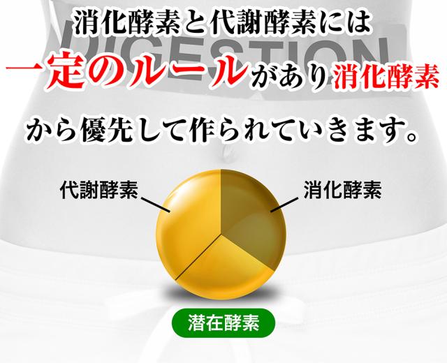 限定SALE最新作 大特価5個セット 酵素ダイエット の通販はau PAY マーケット - Kirei★4000円で送料無料|商品ロットナンバー:324126614 生酵素 サプリ ダイエット 麹生酵素 こうじ酵素 お買い得新品