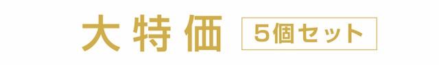 限定SALE最新作 大特価5個セット 酵素ダイエット の通販はau PAY マーケット - Kirei★4000円で送料無料|商品ロットナンバー:324126614 生酵素 サプリ ダイエット 麹生酵素 こうじ酵素 お買い得新品