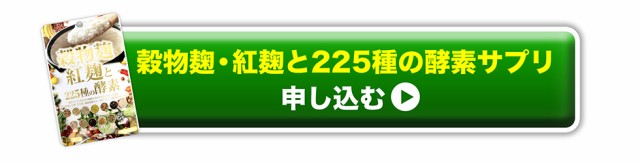 限定SALE最新作 大特価5個セット 酵素ダイエット の通販はau PAY マーケット - Kirei★4000円で送料無料|商品ロットナンバー:324126614 生酵素 サプリ ダイエット 麹生酵素 こうじ酵素 お買い得新品