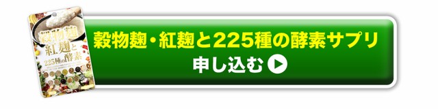 限定SALE最新作 大特価5個セット 酵素ダイエット の通販はau PAY マーケット - Kirei★4000円で送料無料|商品ロットナンバー:324126614 生酵素 サプリ ダイエット 麹生酵素 こうじ酵素 お買い得新品