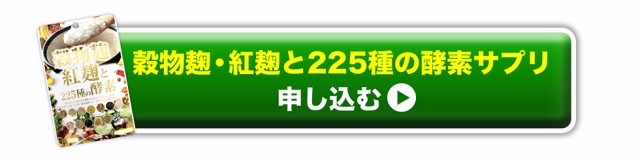 限定SALE最新作 大特価5個セット 酵素ダイエット の通販はau PAY マーケット - Kirei★4000円で送料無料|商品ロットナンバー:324126614 生酵素 サプリ ダイエット 麹生酵素 こうじ酵素 お買い得新品
