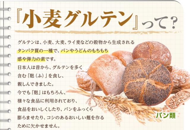 小麦グルテン(ドイツ産)