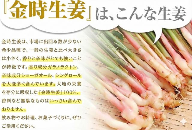 金時しょうが粉末