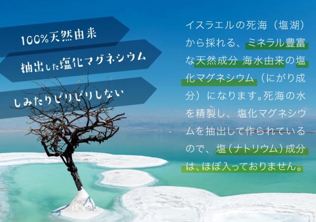 〈フレークタイプ〉死海の塩 Dead Sea Salt 3.5ｋｇ×5袋 【送料無料！(北海道・九州・沖縄を除く)】 塩化マグネシウム 保湿 浴用化粧品 NICHIGA(ニチガ) TK4