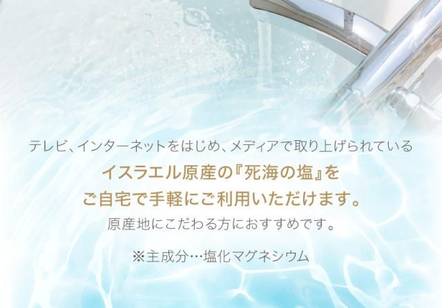 〈フレークタイプ〉死海の塩 Dead Sea Salt 3.5ｋｇ×5袋 【送料無料！(北海道・九州・沖縄を除く)】 塩化マグネシウム 保湿 浴用化粧品 NICHIGA(ニチガ) TK4