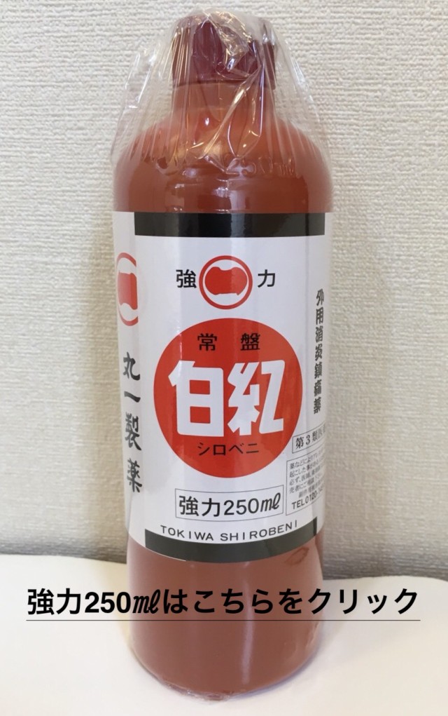 本 オファー 常盤 白 紅 250ml 価格