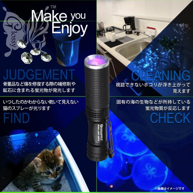 ブラックライト