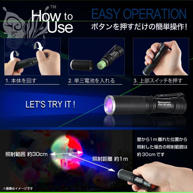 ブラックライト