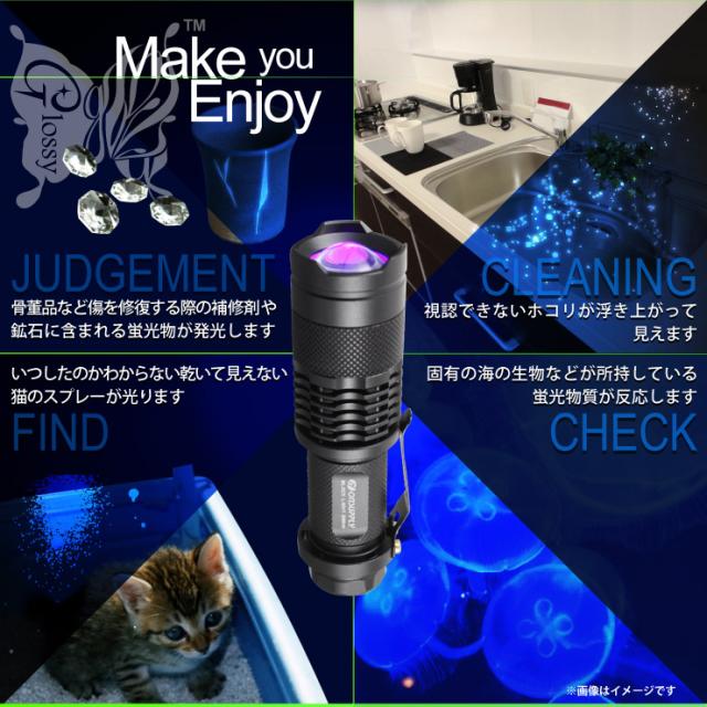 ブラックライト
