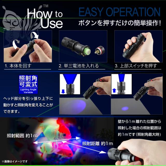ブラックライト