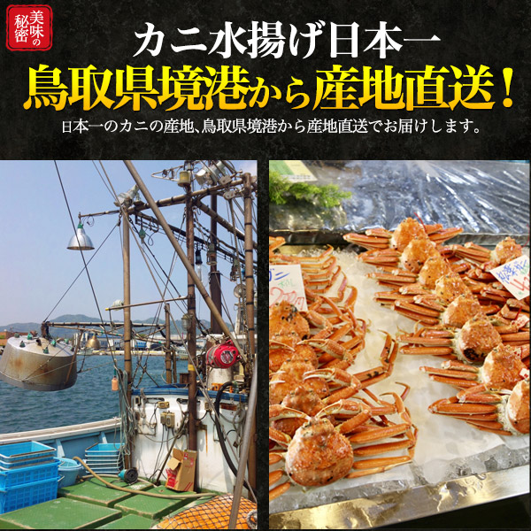 送料無料 訳あり 茹で 冷凍 松葉ガニ 800g 900g 足1本不足 ブランドタグなし ボイル 山陰産 鳥取県 島根県 境港水揚げ 産地直送 松葉がに 釜ゆで Rakuten Bayounyc Com