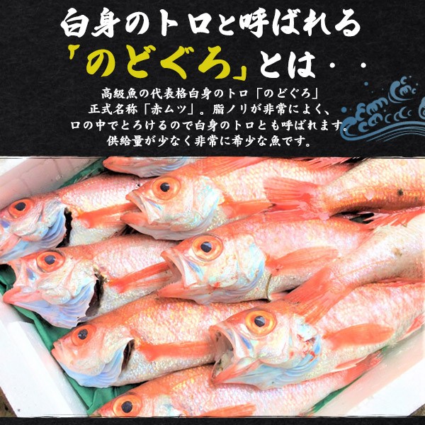 のどぐろ干物 270g前後 2枚 特大サイズ 国産 島根県産 山陰浜田 産地直送 アカムツ 高級魚 おつまみ のどぐろ ノドグロ 干物 山陰 冷凍  1の通販はau PAY マーケット - N-style au PAY マーケット店 | au PAY マーケット－通販サイト