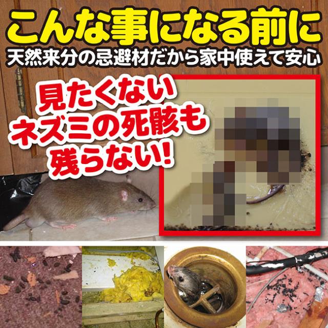 見たくないネズミの死骸も残らない!