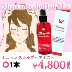 ミニョンスカルプヘアミスト　1本