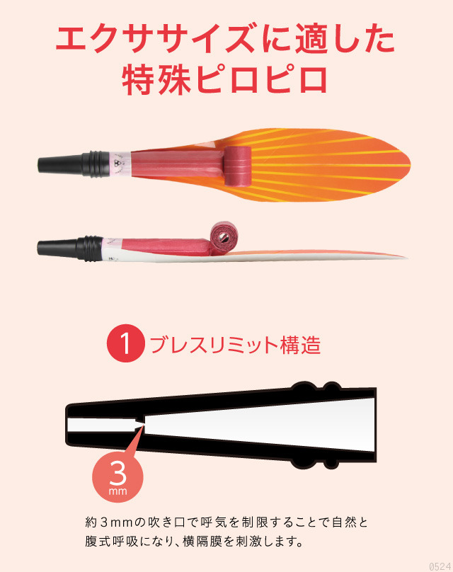 lbps-05.jpg (90814 バイト)