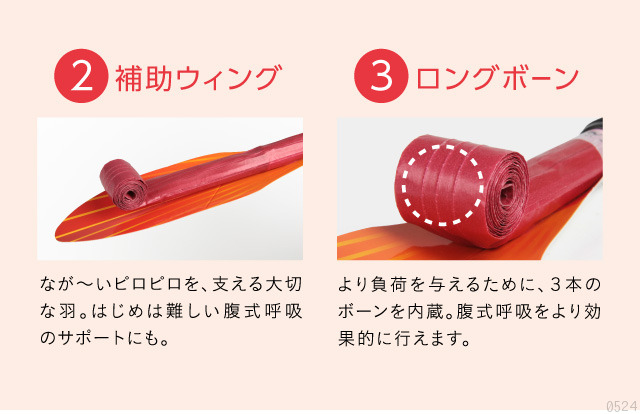 lbps-06.jpg (68116 バイト)