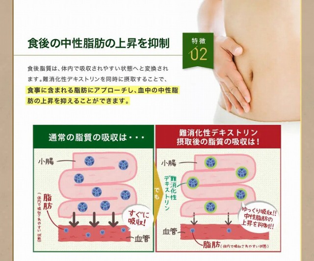 食後の中性脂肪の上昇を抑制