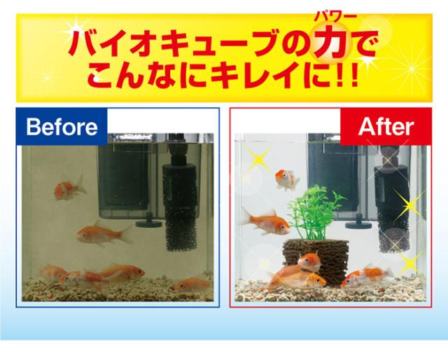 バイオキューブの力でこんなにキレイに