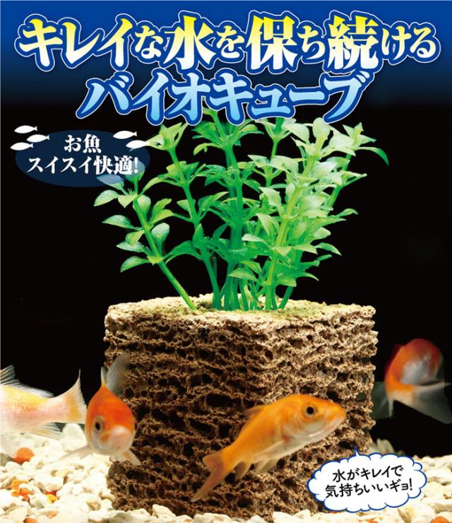 キレイな水を保ち続けるバイオキューブ