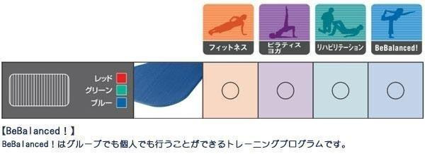 AIREX(R) エアレックス マット トレーニングマット(波形パターン) コロネラ 185×60×1.5cm AMF-320B・ブルー |b03