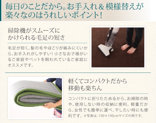 新品格安 ラグ マイクロファイバー 最高の手触り ラグ( サイズ :190×240cm)( 色 : モスグリーン 緑 ) 送料無料の通販はau PAY マーケット - 株式会社夢の小屋|商品ロットナンバー:280938262 日本製特価