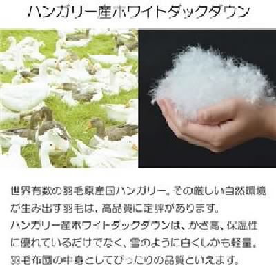 りできませ 羽毛布団/掛け布団 『jullyadams』 白 送料無の通販はau PAY マーケット - 株式会社夢の小屋|商品ロットナンバー:469183989 150×210cm ハンガリー産 ホワイトダウン90% 日本製 国産 ≬にメールに