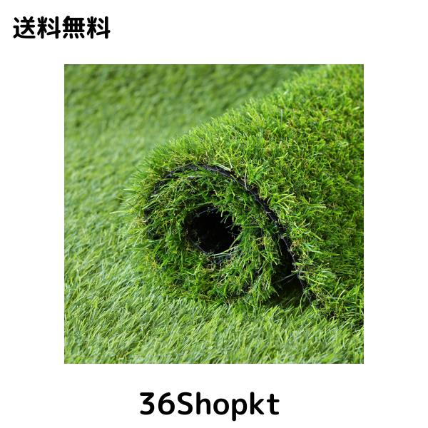 他サイト： 人工芝 ロール 1mx10m リアル感 芝丈30mm 高耐久 透水タイプ 防草シート 24本ピン付き フレッシュグリーン (1×の商品画像