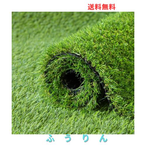 他サイト： 人工芝 ロール 1mx10m リアル感 芝丈30mm 高耐久 透水タイプ 防草シート 24本ピン付き フレッシュグリーン (1×の商品画像