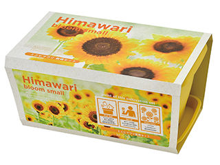 他サイト： SEISHIN 聖新陶芸 GD-93201 エンジョイフラワー ミニヒマワリの商品画像