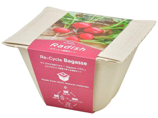 他サイト： SEISHIN 聖新陶芸 GD-95301 バガスグリーン ラディッシュの商品画像