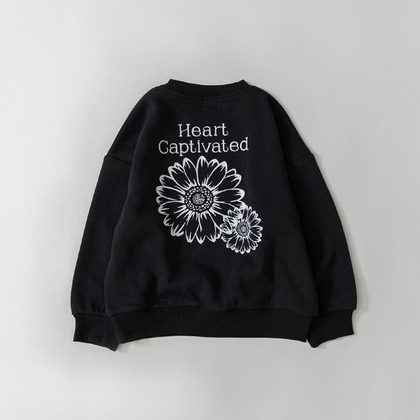 �u�����V�F�X�ibranshes�j/�yDRC/���N�сz�A�\�[...