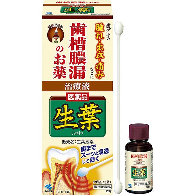 他サイト： 第3類医薬品 生葉液薬 20g 小林製薬の商品画像