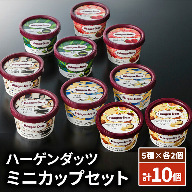 他サイト： ハーゲンダッツミニカップセット 計10個/5種×各2個 HD50J スイーツ アイス 詰合せ 大容量 まとめ買いの商品画像