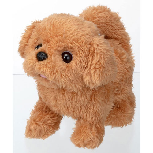 他サイト： ピッコリーネ トイプードル 電動ぬいぐるみ 【小型犬 いぬ 赤ちゃん イヌ 鳴く 歩く 動く 動物 鳴く 走る ペットロボット の商品画像