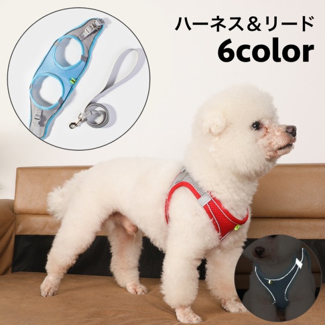 バディーベルト BBスポーツハーネス 4号 小型犬 ペット BUDDYBELT バディベルト 犬用 胴