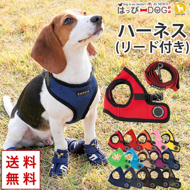 犬 ハーネス ペットパラダイス Lee ロープロゴ柄 ヒッコリーリュック ハーネス 3S ： Amazon・楽天・ヤフー等の通販価格比較  [最安値.com]