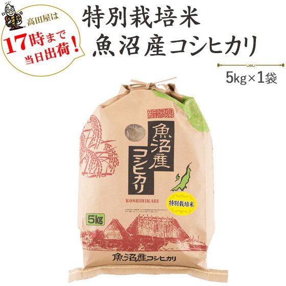 令和3年産新米魚沼産こしひかり従来品種5キロ×4-