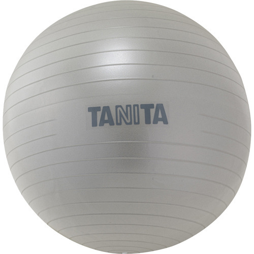 他サイト： タニタ ジムボール シルバー TS-962-SV(1個)[ヨガ ストレッチ その他]の商品画像