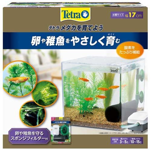 他サイト： テトラ メダカを育てよう(1個)[水槽]の商品画像