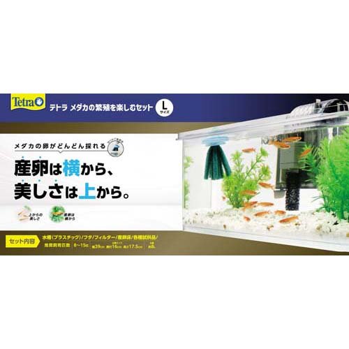 他サイト： テトラ メダカの繁殖を楽しむセット L(1セット)[水槽]の商品画像