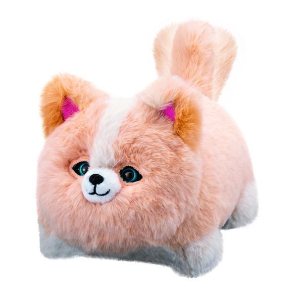 他サイト： アガツマ ワンだきみは!?の商品画像